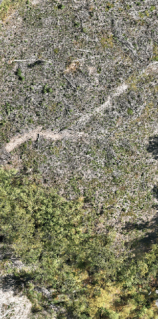 Aerial Photo of timber cleared land